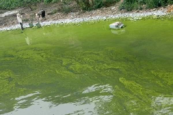 深圳水質(zhì)檢測(cè)公司 第三方